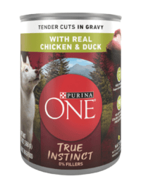 Purina One Can Dog Food