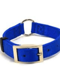 Blue Nylon Collar