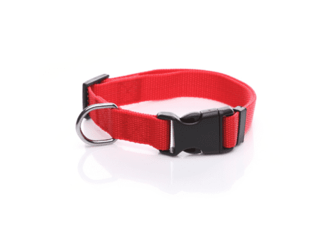 red adjustable nylon colllar