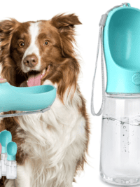 Pet Water Bottle