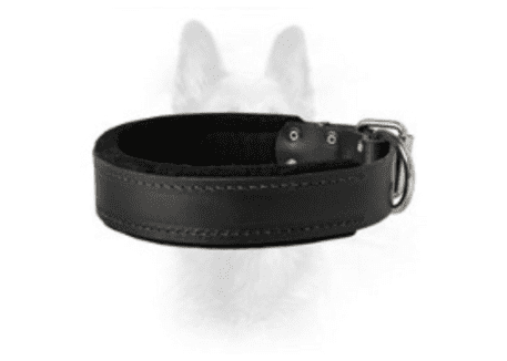 Black Leather Dog Collar