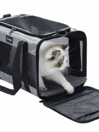 Soft-Sided Cat & Dog Carrier